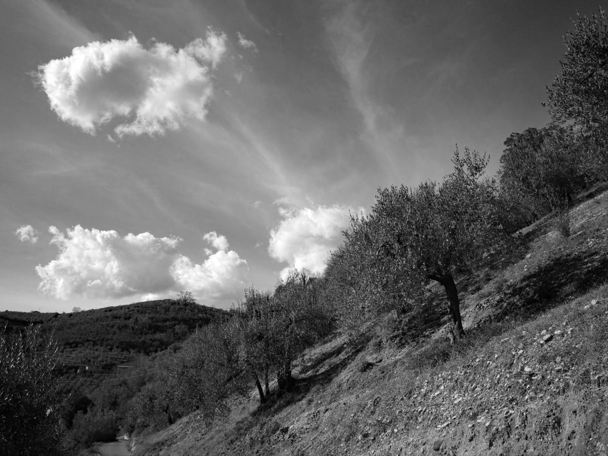 Agriturismo Il Casaletto Montefranco Екстер'єр фото