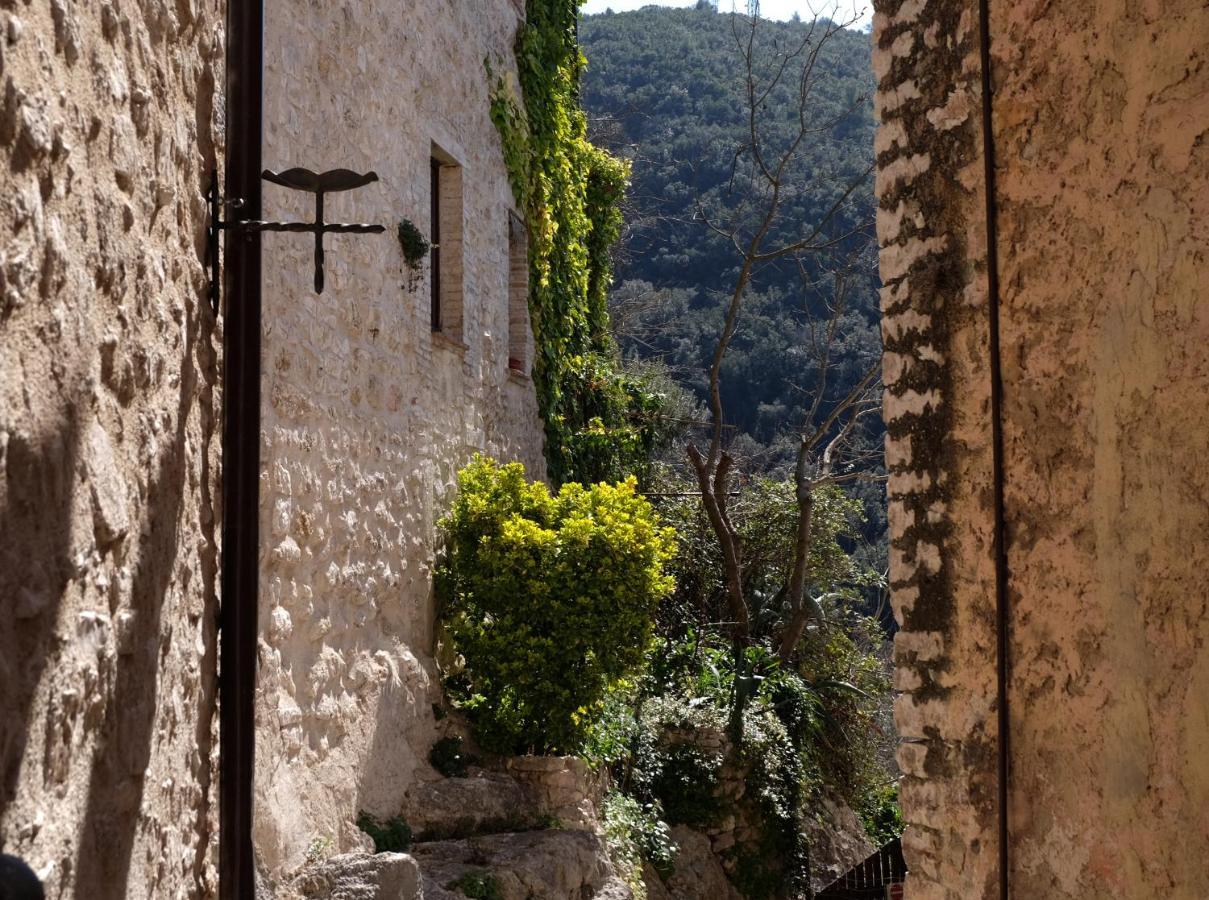 Agriturismo Il Casaletto Montefranco Екстер'єр фото