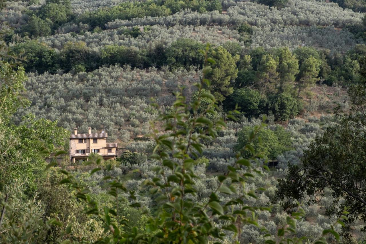 Agriturismo Il Casaletto Montefranco Екстер'єр фото